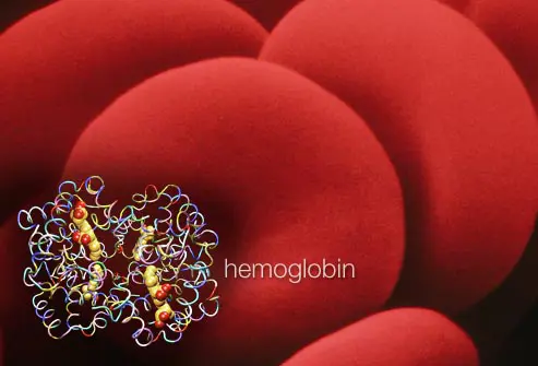 Hemoglobin