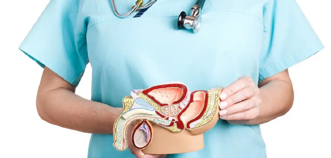 Prostat kanseri nedir? Belirtileri ve tedavi yöntemleri nelerdir? görseli