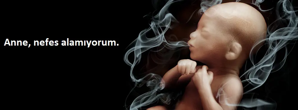 Gebelikte Alkol ve Sigara Kullanımı görseli