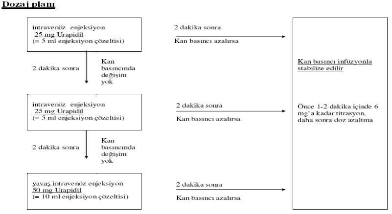 EBRANTIL 25 mg Ampul görseli 2