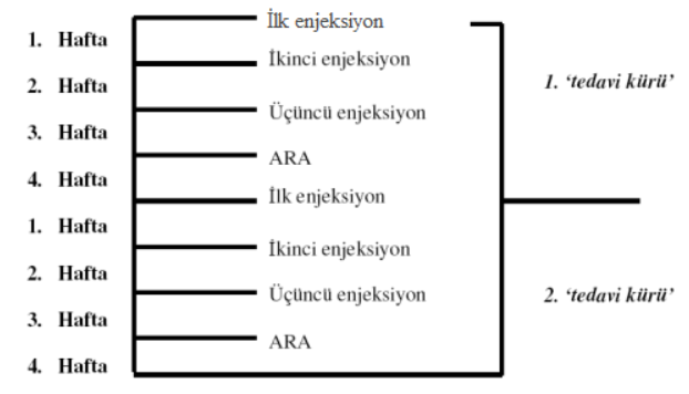 SITAGEM 200 MG IV INFUZYON ICIN LIYOFILIZE TOZ ICEREN FLAKON görseli 2