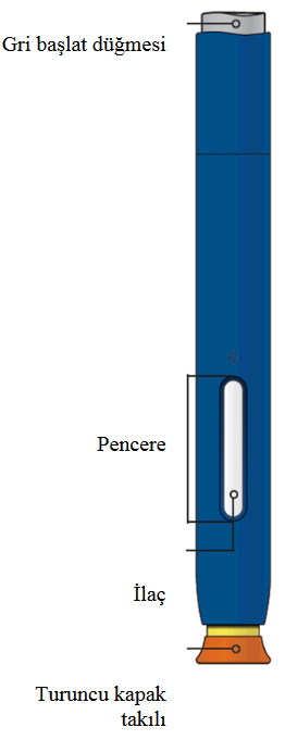 REPATHA 140 MG/ML SC ENJEKSIYONLUK COZELTI ICEREN KULLANIMA HAZIR KALEM (2 KALEM) görseli 2