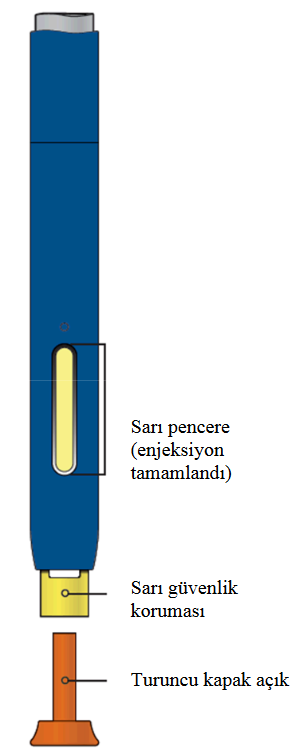 REPATHA 140 MG/ML SC ENJEKSIYONLUK COZELTI ICEREN KULLANIMA HAZIR KALEM (2 KALEM) görseli 3
