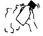 BIOMENT BID 200/28 ORAL 70 ML SUSPANSIYON görseli 2