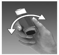 SALRES 100 MCG INHALASYON ICIN OLCULU DOZLU AEROSOL 200 DOZ görseli 3