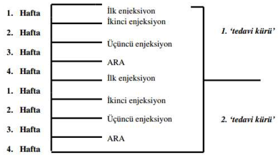 GEMKO 2000 MG IV INFUZYON ICIN LIYOFILIZE TOZ ICEREN FLAKON görseli 2
