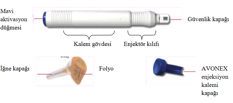 AVONEX 30 MCG/0,5 ML KULLANIMA HAZIR DOLU ENJEKSIYON KALEMI ICINDE ENJEKSIYONLUK COZELTI görseli 3