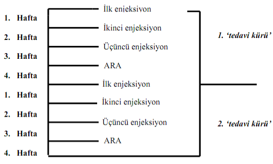 GEMKO 1000 MG IV INF. ICIN LIYOFILIZE TOZ ICEREN FLAKON görseli 2