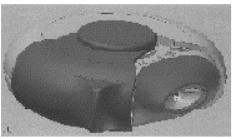SALTIF 9/50/100 MCG Blister görseli 2