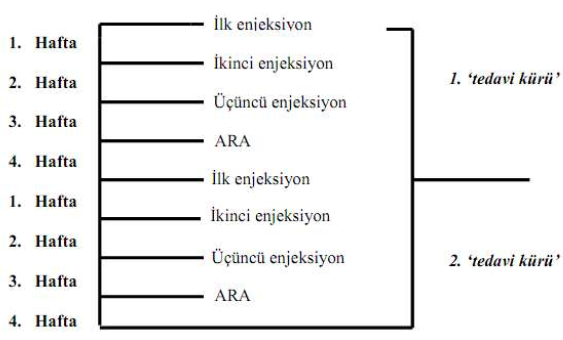 GEMKO 1400 MG IV INF. ICIN LIYOFILIZE TOZ ICEREN FLAKON görseli 2