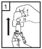 BREQUAL 50/250 MCG INHALASYON ICIN TOZ ICEREN 60 KAPSUL görseli 2