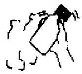 BIOMENT BID FORTE 400/57 70 ML ORAL SUSPANSIYON görseli 2