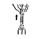 RAPAMUNE 1 MG/ML 60 ML ORAL SOLUSYON görseli 3