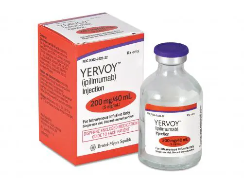 YERVOY 200MG/40ML IV INFUZYONLUK ÇOZELTI KONSANTRESI ICEREN 1 FLAKON kutu görseli