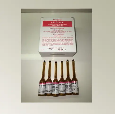 CALGEVAX-BCG 11.25 mg, 10 Ampül kutu görseli