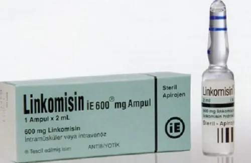 LINKOMISIN IE 600 MG/2ML ENJEKSIYONLUK COZELTI kutu görseli