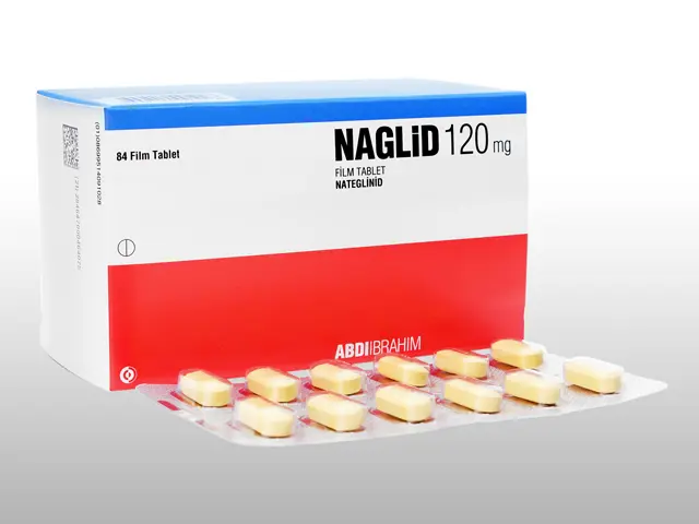 NAGLID 120 MG 84 TABLET kutu görseli